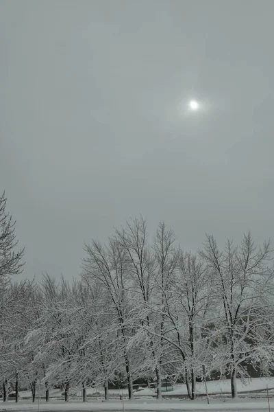 Parkın güzel manzarası