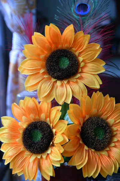 Sarı ve turuncu Gerbera ayçiçeğinin yakın plan fotoğrafı.