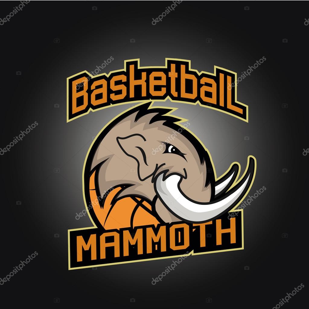Basketball tournament professional logo