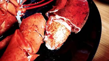 Istakoz tabağı özel bir ıstakoz büfesi lüks yemek ve restoran sunumu için güzelce hazırlanmış deniz ürünleri tabağı. Zarif bir şekilde servis edilen taze pişmiş ıstakoz, güzel yemekler ve gurme mutfağı için ideal.