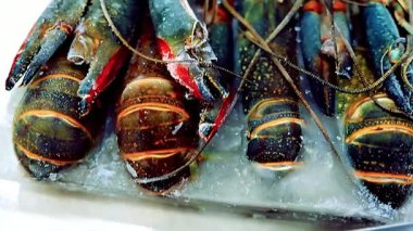 Kerevit - Pişirilmiş kerevit, çiğ kerevit şef tarafından güzel bir şekilde gurme deniz ürünlerine dönüştürülmüş. Görüntü, restoran tarzı yemek pişirme ve kaplama, lüks yemekler, şenlikli yemekler, aile yemekleri ve ticari aşçılık için mükemmel.