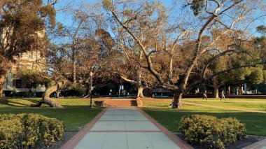 Uluslararası öğrenci hayatı ve yurtdışı eğitim atmosferi, kampüs binaları, yurtdışı kültürü ve canlı üniversite sahneleri. 17 Şubat 2025, Kaliforniya Üniversitesi (UCLA), Los Angeles, ABD.