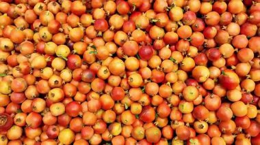 Taze nar meyvesi sulu tohumlar ve sağlık faydaları, besin görsel ve meyve tabanlı stok içeriği için ideal.