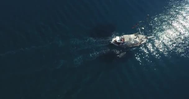 Barco à vela em água azul clara — Vídeo de Stock