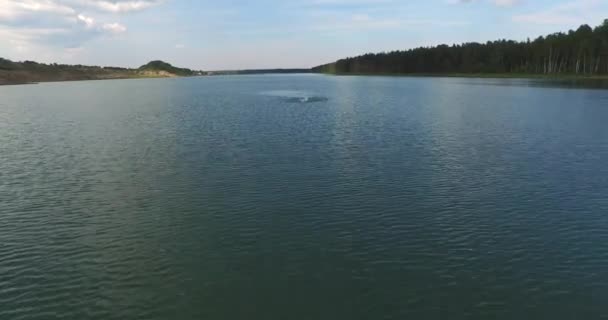 Mannelijke zwemmer zwemmen In de rivier — Stockvideo