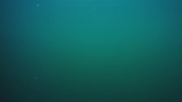 Sauter dans l'eau 