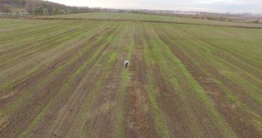 Adam boya bir resim alanında