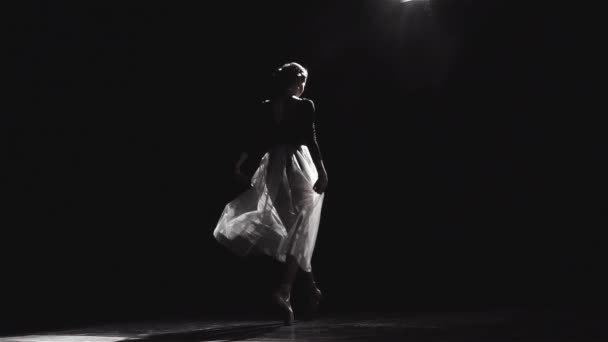 Όμορφη γυναίκα μπαλέτου χορευτής — Αρχείο Βίντεο
