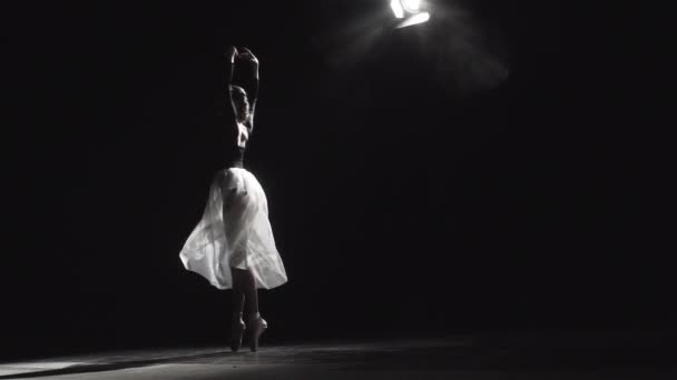 Ballerina i balett Hall — Stockvideo