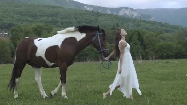 Mooi meisje met een paard In het veld — Stockvideo