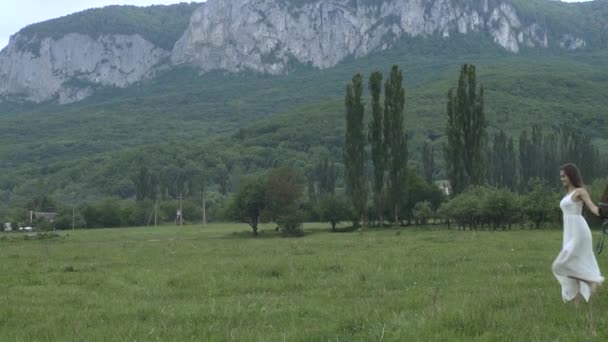 Chica y su caballo en un prado — Vídeo de stock