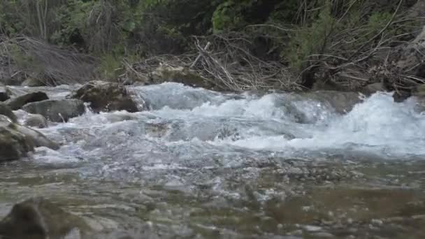 Pequeño río en las montañas — Vídeo de stock