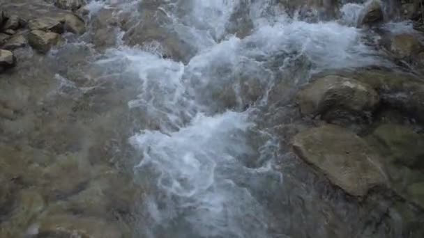 Agua corriendo entre piedras — Vídeos de Stock