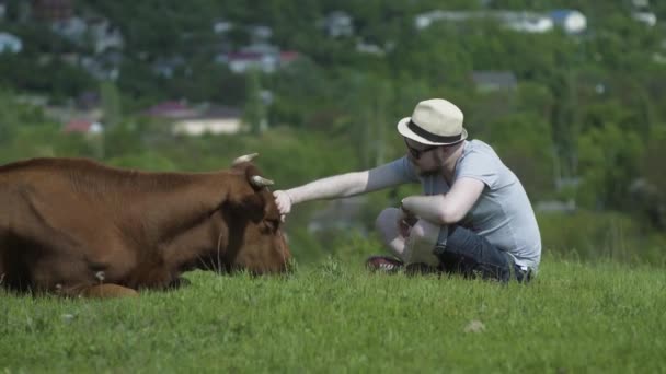 Man Stroking A Cow Head — Stock Video