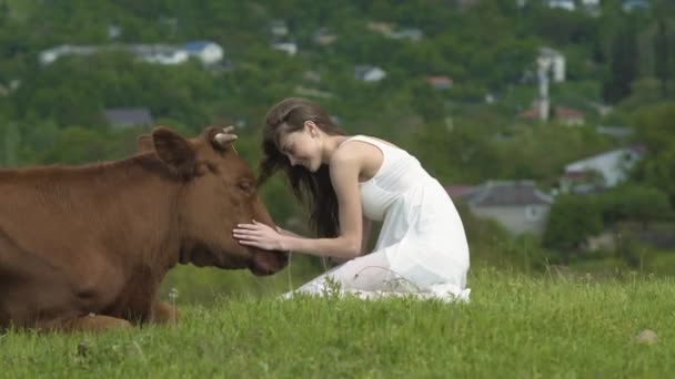 Gelukkig meisje lijnen een koe op zomerse dag — Stockvideo