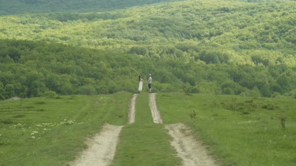 Pareja joven cogida de la mano en el campo — Vídeo de stock