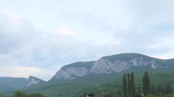 Chica en un vestido blanco con caballo — Vídeo de stock