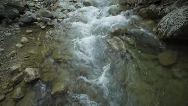 Río Montaña fluyendo entre piedras — Vídeo de stock