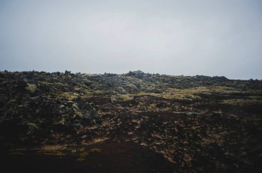 Mavi lagündeki volkanik lav ve sarı yosunların yakın görüntüsü. İzlanda