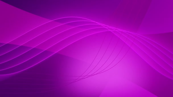 Fundo elegante roxo com linhas móveis, animação de loop 4K, gráficos de movimento — Vídeo de Stock