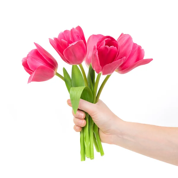 Mujer mano con tulipanes flores . —  Fotos de Stock