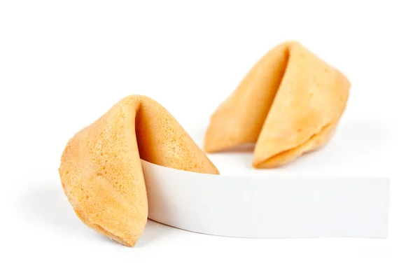 Galletas de la fortuna con blanco —  Fotos de Stock