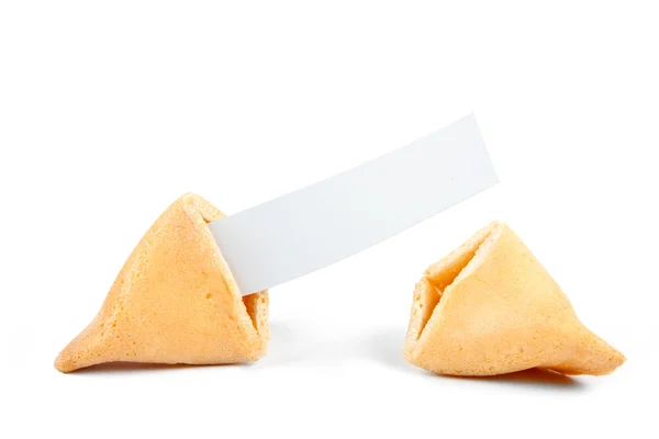 Fortune cookie z puste — Zdjęcie stockowe