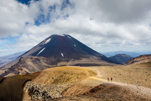 Sendero en el Parque Nacional Tongariro — Foto de Stock