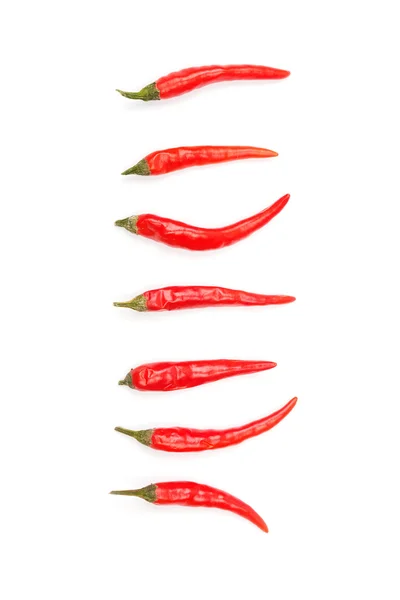 Červené chilli papričky — Stock fotografie