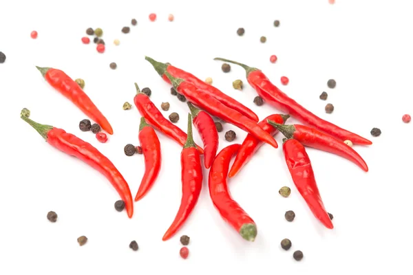 Variety of ripe peppers — Stock Photo, Image