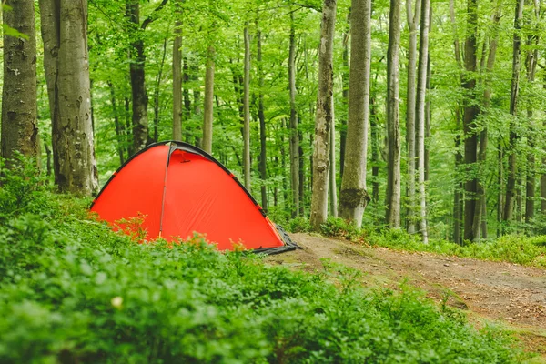 Camping tält i skogen — Stockfoto