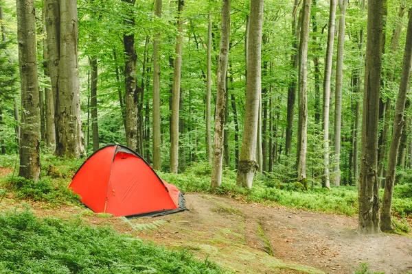 Camping tält i skogen — Stockfoto