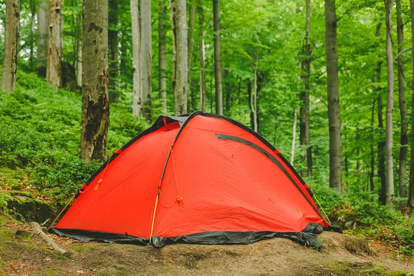 Camping tent in bos — Stockfoto