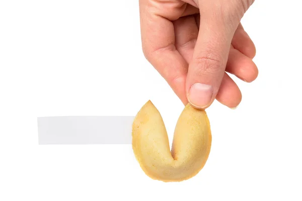 Fortune cookie held open — Stock Photo, Image