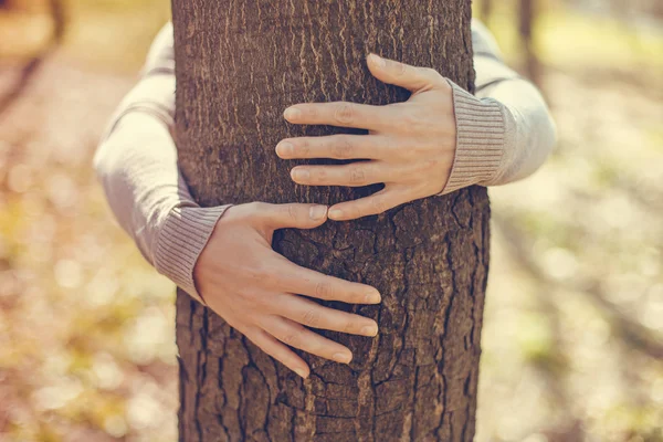 Las manos femeninas sobre el árbol — Foto de Stock