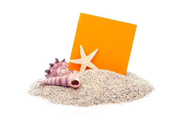 Beach with sand starfish and shells — Stock Photo, Image