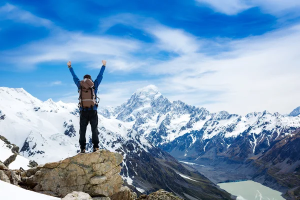 欢呼的徒步旅行者双臂上举 — 图库照片