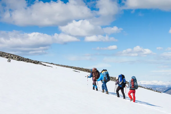 Team van de wandelaars in de bergen — Stockfoto