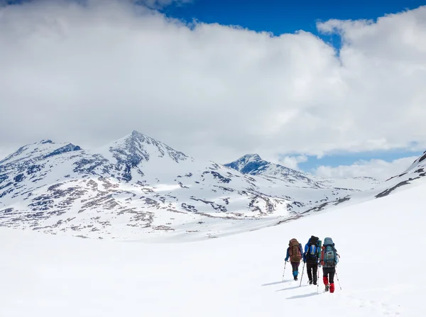 Três caminhantes nas montanhas — Fotografia de Stock