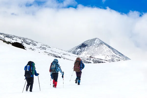 Trois randonneurs en montagne — Photo