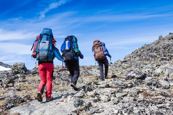 Three hikers in the mountains — Stock Photo, Image