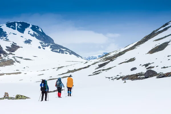 Tres excursionistas en las montañas — Foto de Stock