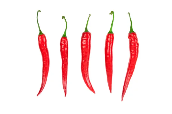 Pimientos chile rojo — Foto de Stock