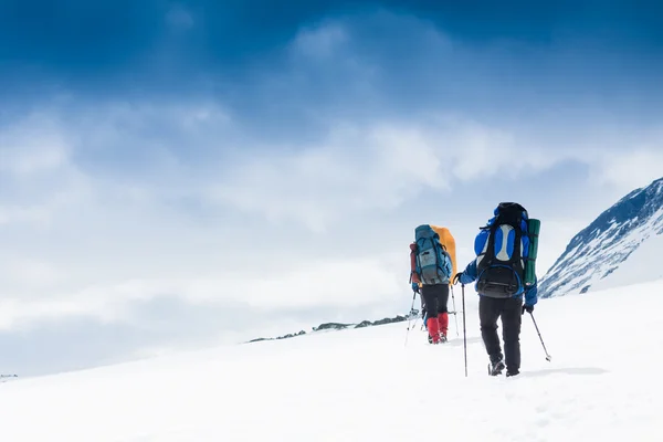 Three hikers in the mountains — Stock Photo, Image