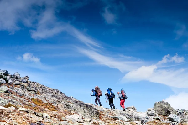 Three hikers in the mountains — Stock Photo, Image