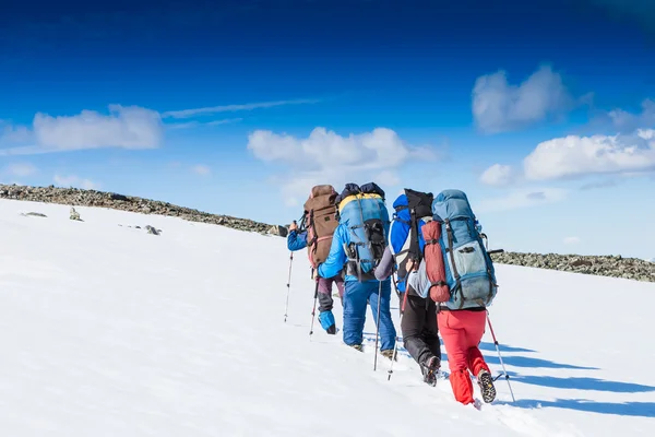 Equipe de caminhantes nas montanhas — Fotografia de Stock