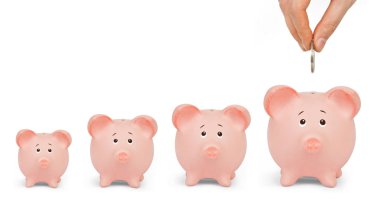 Domuzcuk bankalar büyüyen aralığı