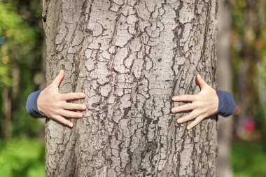 bir ağaç gövdesi kucaklayan çocuk elleri
