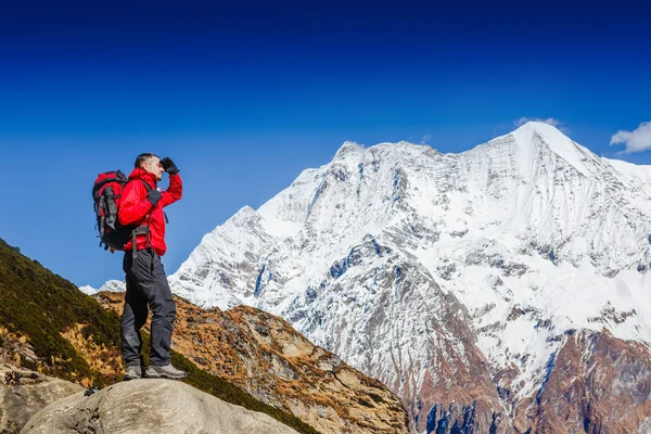 Hiker with the backpack in the mountains — Stock Photo, Image