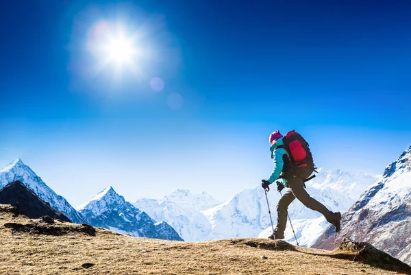 Vandrare med ryggsäck i bergen — Stockfoto
